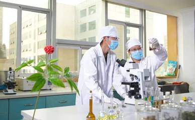 龍潤藥業(yè)榮獲2018年度云南省科學(xué)技術(shù)進(jìn)步獎(jiǎng)三等獎(jiǎng)，彰顯農(nóng)業(yè)科研創(chuàng)新實(shí)力