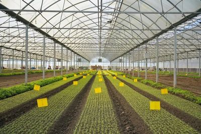 區(qū)領(lǐng)導(dǎo)深入調(diào)研農(nóng)業(yè)科創(chuàng)谷推進工作，強調(diào)以科技創(chuàng)新驅(qū)動農(nóng)業(yè)現(xiàn)代化發(fā)展